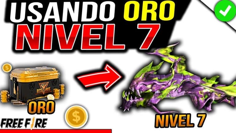 maxresdefault   2024 11 06T181751.492